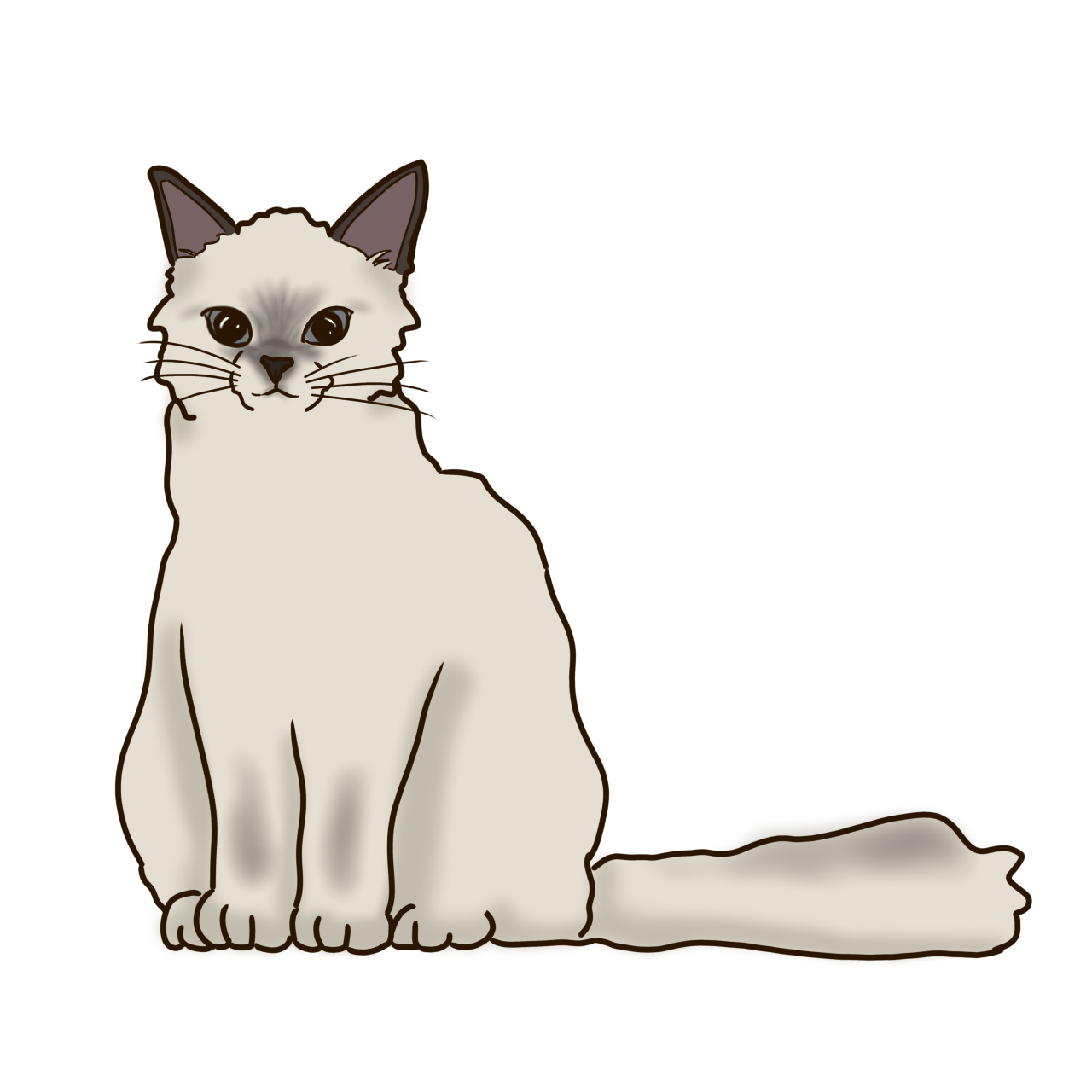 猫のイラスト